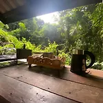 Singing Frogs Jungle Stay