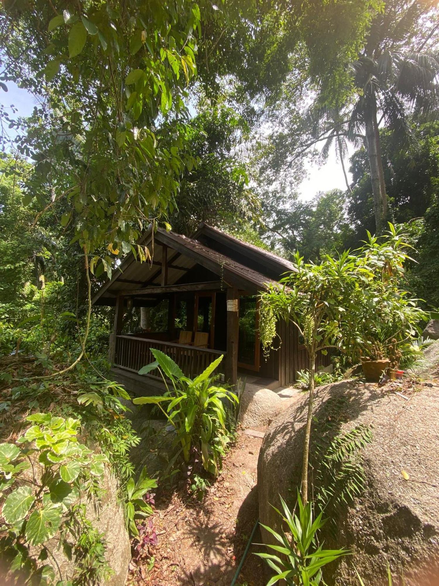 Ferienhaus Singing Frogs Jungle