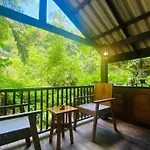 Singing Frogs Jungle Stay