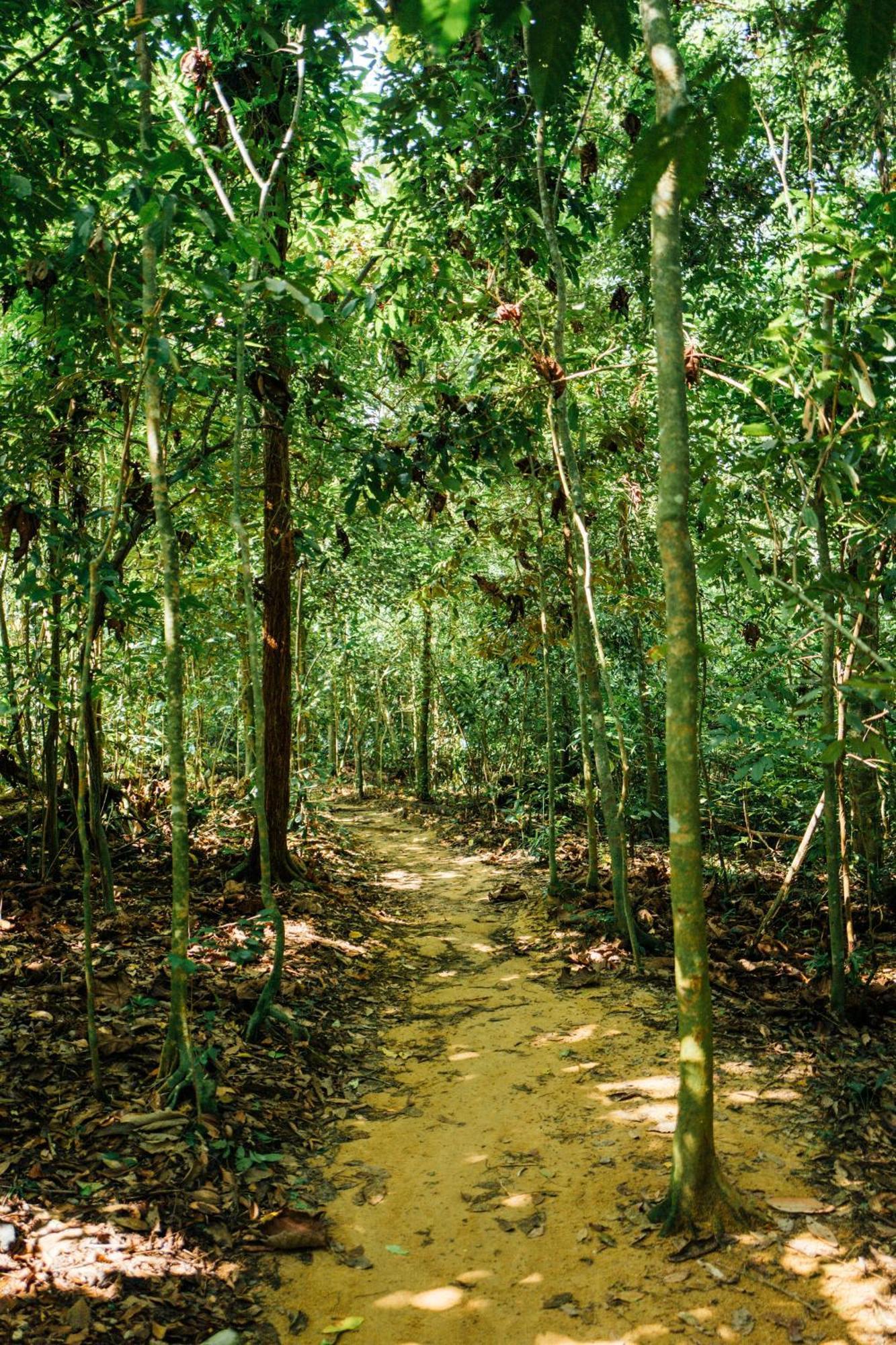 Holiday home Singing Frogs Jungle Ban Lamai